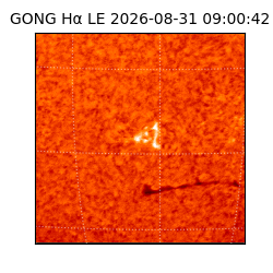 gong - 2026-08-31T09:00:42