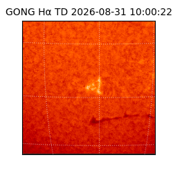 gong - 2026-08-31T10:00:22
