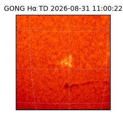 gong - 2026-08-31T11:00:22