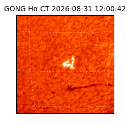 gong - 2026-08-31T12:00:42