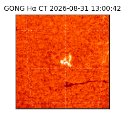 gong - 2026-08-31T13:00:42