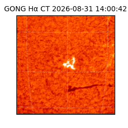 gong - 2026-08-31T14:00:42
