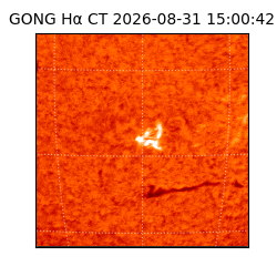 gong - 2026-08-31T15:00:42
