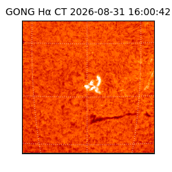 gong - 2026-08-31T16:00:42