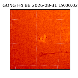 gong - 2026-08-31T19:00:02