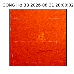 gong - 2026-08-31T20:00:02