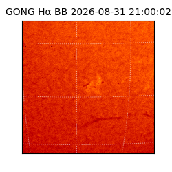 gong - 2026-08-31T21:00:02