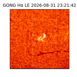 gong - 2026-08-31T23:21:42