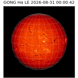 gong - 2026-08-31T00:00:42
