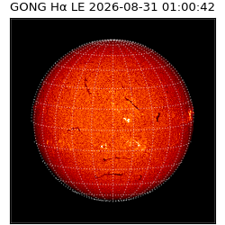gong - 2026-08-31T01:00:42