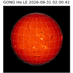 gong - 2026-08-31T02:00:42