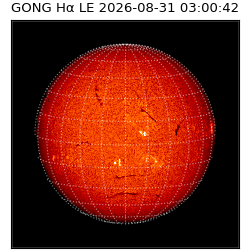 gong - 2026-08-31T03:00:42