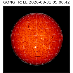 gong - 2026-08-31T05:00:42