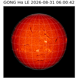 gong - 2026-08-31T06:00:42