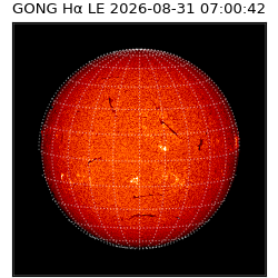 gong - 2026-08-31T07:00:42