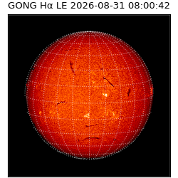 gong - 2026-08-31T08:00:42
