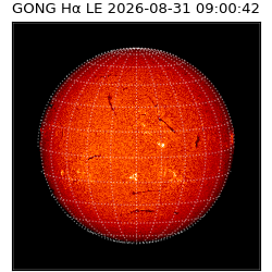 gong - 2026-08-31T09:00:42