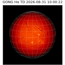 gong - 2026-08-31T10:00:22