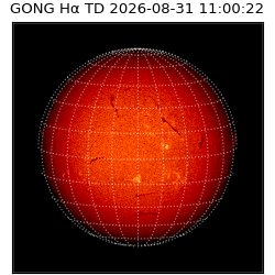 gong - 2026-08-31T11:00:22