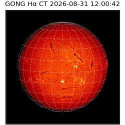 gong - 2026-08-31T12:00:42
