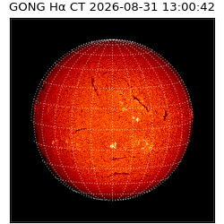 gong - 2026-08-31T13:00:42
