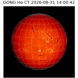 gong - 2026-08-31T14:00:42