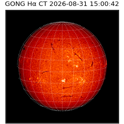 gong - 2026-08-31T15:00:42