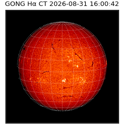 gong - 2026-08-31T16:00:42