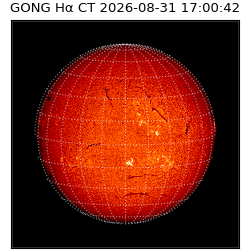 gong - 2026-08-31T17:00:42