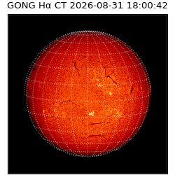 gong - 2026-08-31T18:00:42