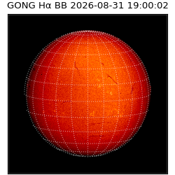 gong - 2026-08-31T19:00:02