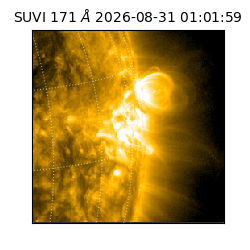 suvi - 2026-08-31T01:01:59.730000