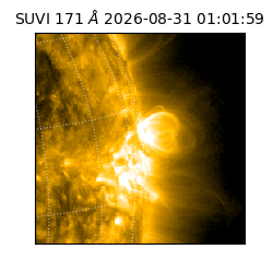 suvi - 2026-08-31T01:01:59.730000