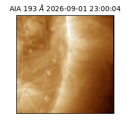 saia - 2026-09-01T23:00:04.840000