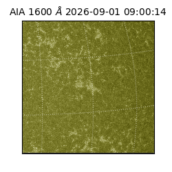 saia - 2026-09-01T09:00:14.120000