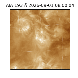 saia - 2026-09-01T08:00:04.840000