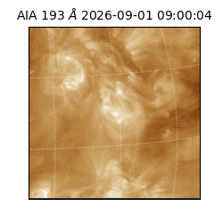 saia - 2026-09-01T09:00:04.840000