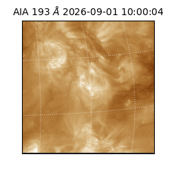 saia - 2026-09-01T10:00:04.840000