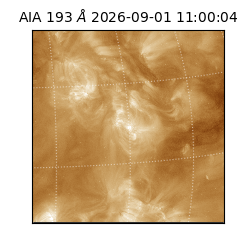 saia - 2026-09-01T11:00:04.840000