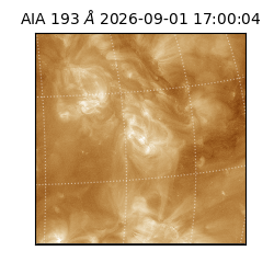 saia - 2026-09-01T17:00:04.840000