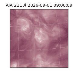 saia - 2026-09-01T09:00:09.620000