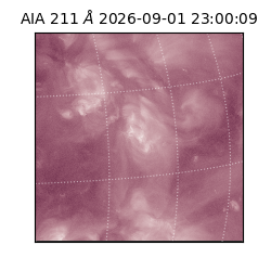 saia - 2026-09-01T23:00:09.620000