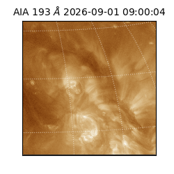 saia - 2026-09-01T09:00:04.840000