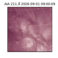 saia - 2026-09-01T09:00:09.620000