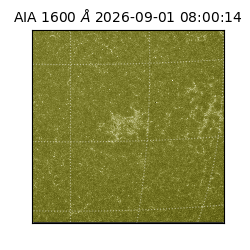 saia - 2026-09-01T08:00:14.120000