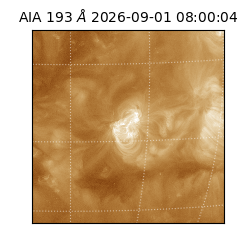 saia - 2026-09-01T08:00:04.840000
