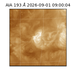 saia - 2026-09-01T09:00:04.840000