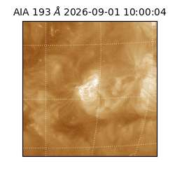 saia - 2026-09-01T10:00:04.840000