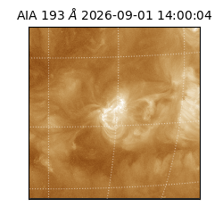 saia - 2026-09-01T14:00:04.840000