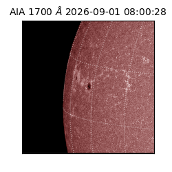 saia - 2026-09-01T08:00:28.720000
